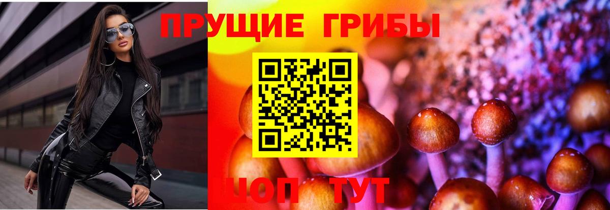 Свободный  Псилоцибиновые грибы мицелий  Вход с VPN 